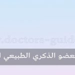 طول العضو الذكري الطبيعي الرجل
